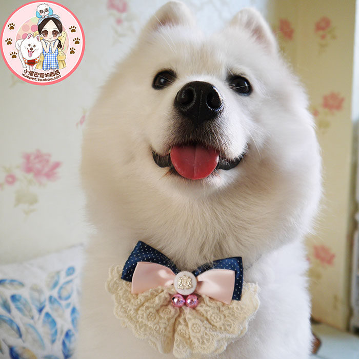 Exclusive customised web yarn lace butterfly neckline with small bell peppers golden hair salo large and medium-sized dog with collar flower-Taobao