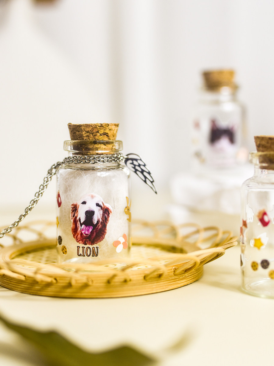 Cat and dog hair bottle pendant car pendant pet souvenir after passing away miss collection collection box friend gift
