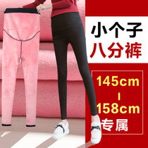 Pregnant woman pants winter plus suede thickened winter pants winter style small sub-autumn winter outside wearing 80% cotton pants pregnant woman with underpants
