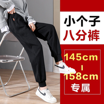 Pregnant Woman Little Sub Pants Sports Pants Spring Autumn Outwear Early Wee Pants Spring Outwear Pure Cotton 150 80% Pants