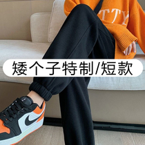 Pregnant woman pants winter plus suede thickened autumn and winter outside wearing spring and autumn pregnant womens sweatpants 80% 150cm short and small pair of pants