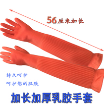 Long and thick latex gloves 56cm dishwashing laundry housework waterproof cleaning rubber labor protection gloves non-slip wear-resistant