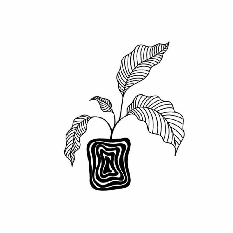 FYM的LOGO