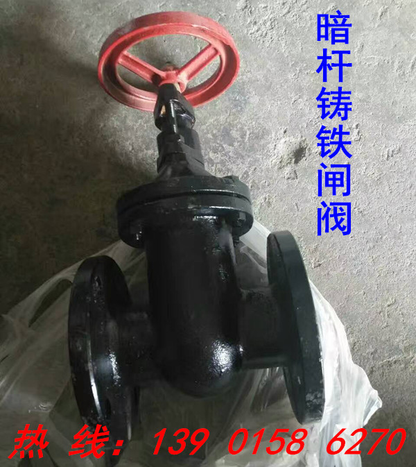 Z45T Z45T W-10 cast iron Dark rod flange gate valve DN100 125150200250300350400