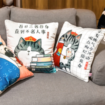 Wuhuang square pillow Four Seasons universal plush sofa cushion office car seat backrest cute and comfortable