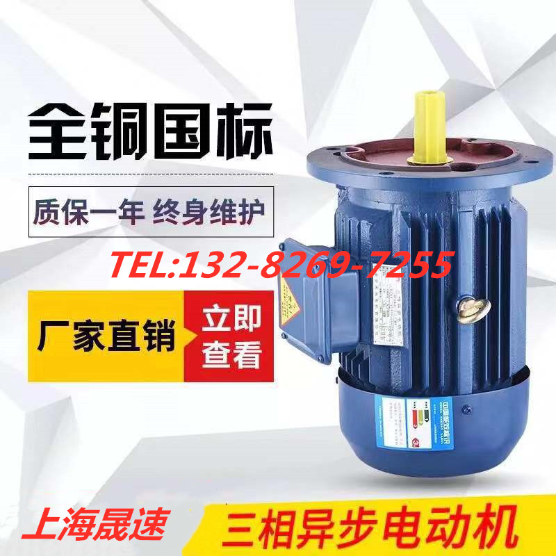 Difference compensation shot Shanghai Sheng Speed motor Three-phase asynchronous motor motor motor 380v