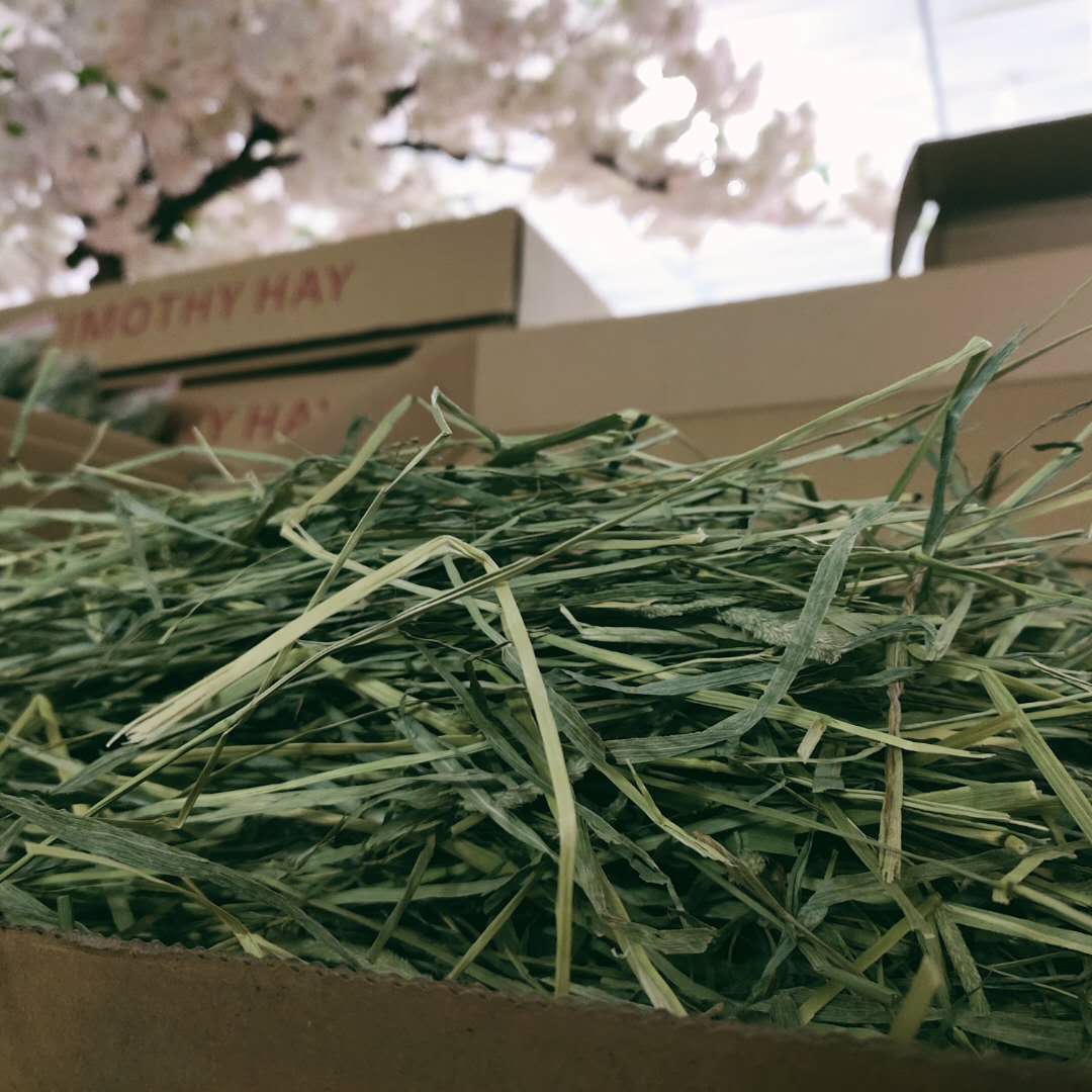 (Chill's home) US Anderson quality Timothy Moshe on par with APD Rabbit Guinea Fowl Dragon Cat Grass