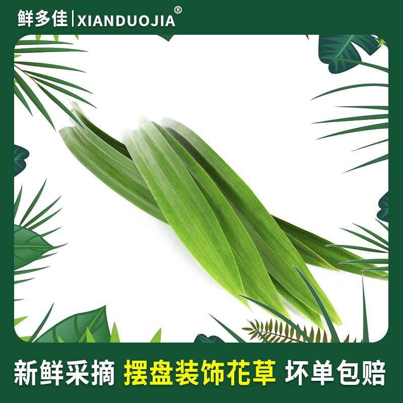 海南香兰叶太绝了!烘焙控必入!班兰叶奶茶千层糕原料全测评🔥-斑斓叶-淘宝百科网