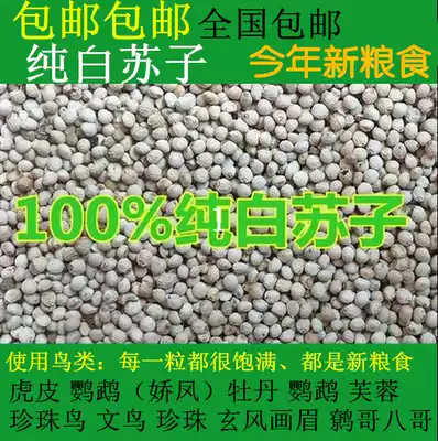 Bird grain feed pure white Su seed birds' food parrot Canary hibiscus bird Jade Bird yellow bird bird Finch 1kg
