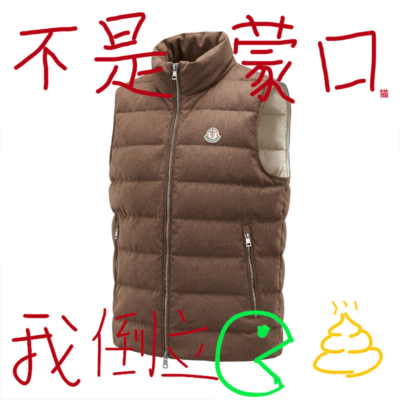 Men's down Vest with Stand Collar, 2026 Autumn/Winter New Style, Thickened and Warm, Versatile Duck down Gilet