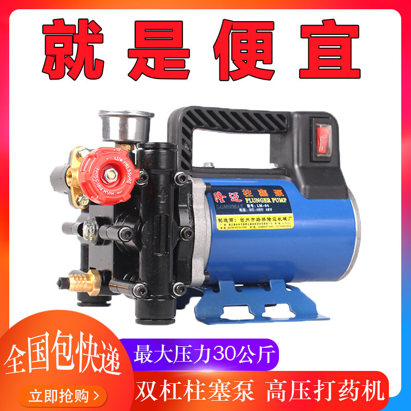 Electric spraying machine Orchard high-pressure sprayer agricultural 12V48V220 volt double-cylinder plunger drug pump New portable