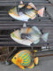 Promotional Outdoor Fiberglass Ocean Series Simulated Fish Model Decoration Wall-Mounted Shark Head Ornaments Resin Crafts