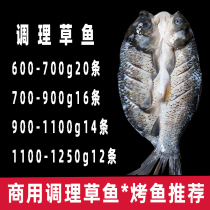 Open-back grass carp grilled fish semi-finished products whole box seasoning pickled fresh fresh frozen paper-wrapped fish commercial ingredients
