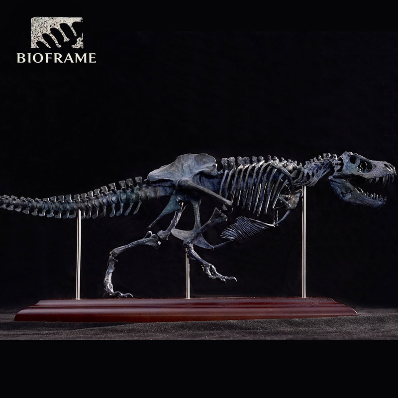 Tyrannosaurus Rex Stan 1:35 Fossil Model/Antiqued White Copper Finish/Stainless Steel Support/Real Wood Base