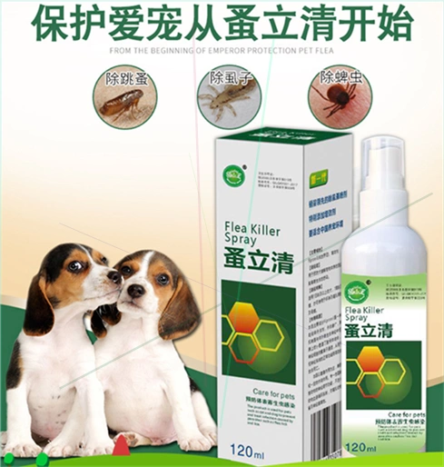 Dog in vitro côn trùng phun thuốc thú cưng để mite vàng retriever bọ chét thuốc mèo và chó mèo phun côn trùng - Cat / Dog Medical Supplies