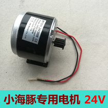 Ice Lane Little Dolphin Mini Electric Scooter Motor 24V Brush Motor Belt Drive Motor