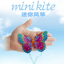 New mini kite toy airplane insect butterfly Pegasus multi-choice children parent-child interactive outdoor games