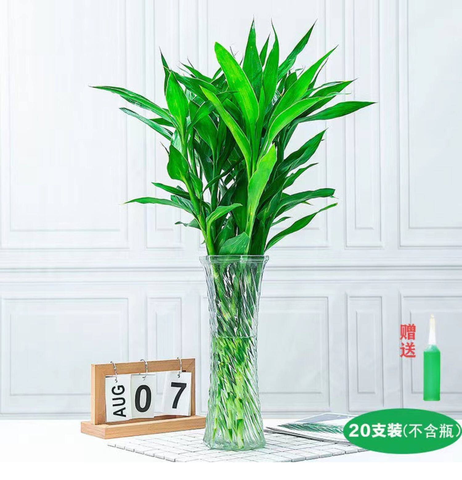富贵竹桌面绿植水培转运竹 植物盆栽室内 节节高 长寿竹开运竹-阿里巴巴