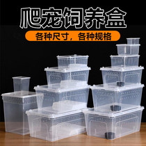 Reptile climbing pet spider Palace guard lizard Scorpion Centipede Horned frog turtle Snail feeding box Pet snake feeding box
