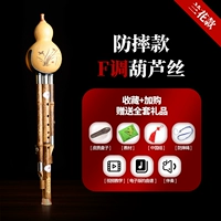 Орхидея Анти -адаптация F Регулировка