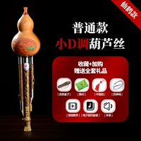 Xianhe обычная маленькая черепаха