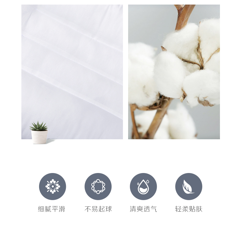 Thánh Anna hoa dệt giàu gối gối thảo dược đơn gối Gối Gối Cassia sức khỏe thế hệ thứ ba - Gối gối nước