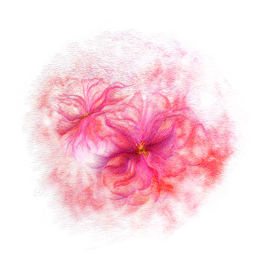 Su embroidery diy kit for beginners to learn random needle embroidery s manual exercise diagram