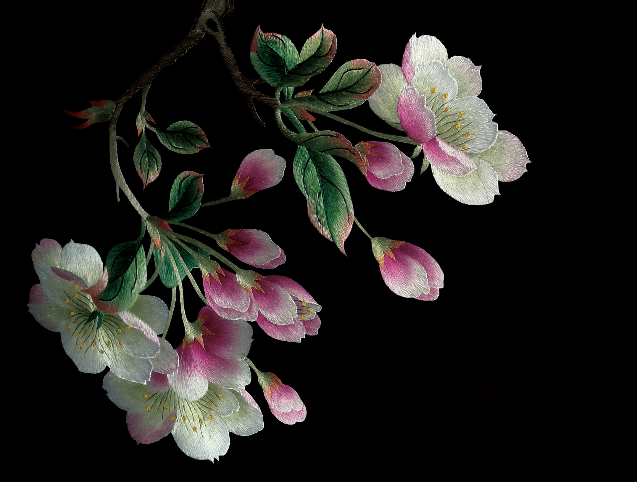 ] Su Embroidery DIY beginner kit 0 Basic stitch scan Cherry flower hand embroidery painting