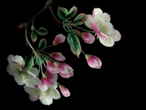 ] Su embroidery diy beginner kit 0 Basic stitch scanning Cherry flower hand embroidery painting