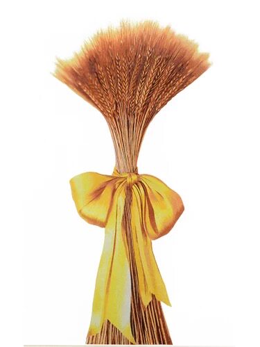 ] Suzhou Embroidery Embroidery DIY Kit Beginner Gold Wheat Ears Hand Embroidery Painting