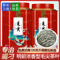 Xiangyou Maojian Tea Canned Green Tea Canned 2021 New Tea before the strong fragrance Xinyang Maojian tender buds 360g