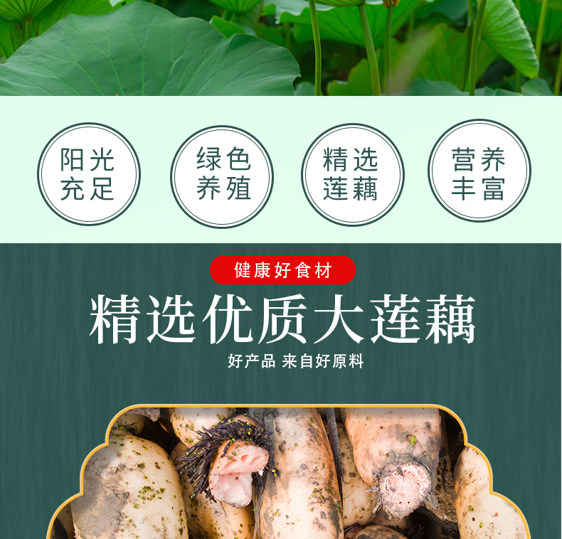 藕粉纯藕粉低脂无糖无添加500g