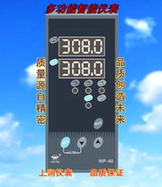 Shangrun Instrument WP-40 WP-S403-02-08-HL-P WP-S803-02-12-HL-P Vertical