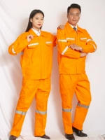 [Весенние и осенние домашние животные] апельсиновые сварные сварные работы хлопка