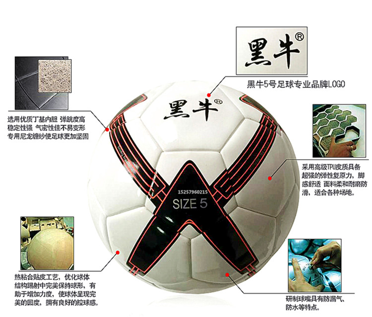 Ballon de foot - Ref 5787 Image 11