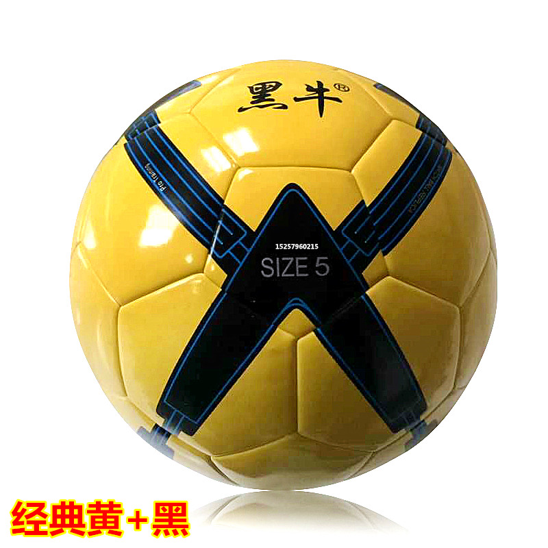 Ballon de foot - Ref 5787 Image 9