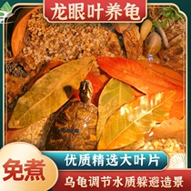 Turtle longan leaf turtle fish tank landscaping South American tank decoration purification water quality yellow water to avoid large pieces of rotten skin without cooking