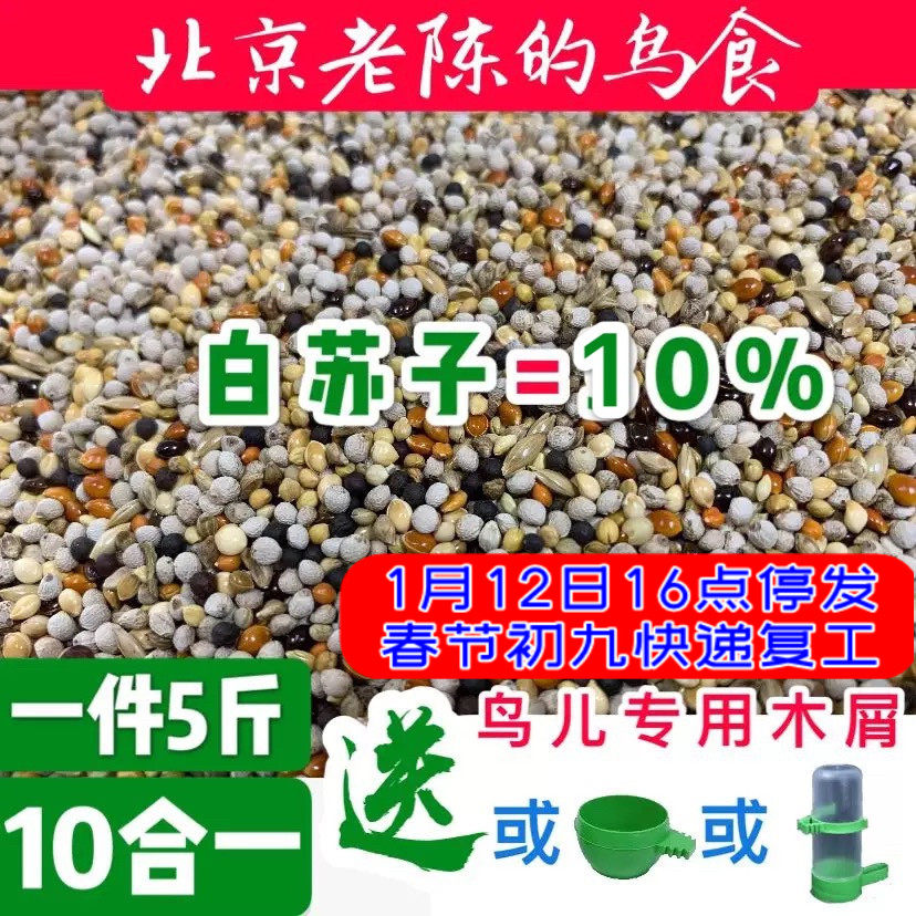 In the fairy garden, Beijing jade bird, hibiscus bird, food bird, oriole, pearl bird, small parrot, bird food, canary, sparrow, bunting