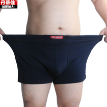 Extra-large mens cotton underwear fat fat extra cotton underwear fat pants special boxer pants solid color