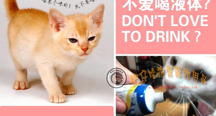 RedDog chó đỏ và kem dinh dưỡng mèo mèo dinh dưỡng mèo con mèo con tăng cường miễn dịch sản phẩm sức khỏe vật nuôi sữa predogen