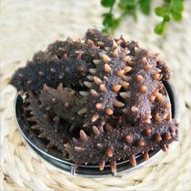 30-50 Japanese green ginseng pure light dry sea cucumber Liao ginseng Four rows of thorns more thick hair times 15 times beautiful goods 500g