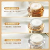 Освежающий питательный коллаген, многофункциональный увлажняющий разглаживающий ночной крем, пробник, 15 мл