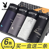 Playboy, хлопковые летние трусы, тонкие дышащие штаны, шорты