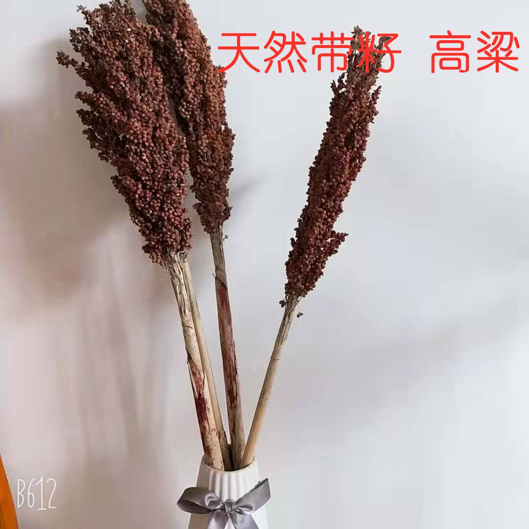Sorghum Bunch Sorghum Dried Flower Simulation Decorative Flower Rural Farmhouse Scene Layout Rice Ears, Wheat Ears, Five Grains
