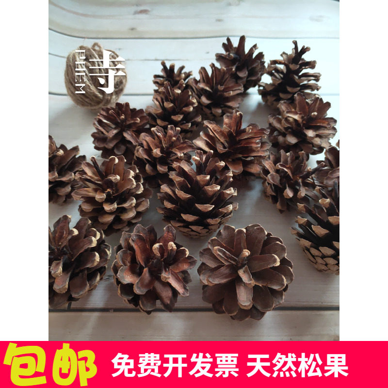 Natural pine cone decoration drying flower handmade pine cone creative pendant kindergarten DIY forest pine tower