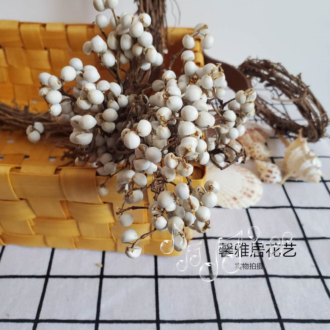 Natural small ginkgo dried flowers diy handmade wreath with flower materials white barley fruit small fresh decorative dry branches