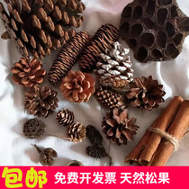 Pine nuts decoration with seed Qianlian fluffy natural dry flower Kindergarten dry twigs department handmade diy material bag Songta