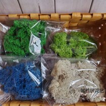 Yongsheng dried flowers moss key buckle glass cover auxiliary material diy material bag flower ball car hanging micro-landscape material 10 gr