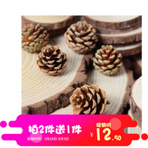 Pine Nuts 50 Lower Go High Calcium Beans Milk Lotus Din