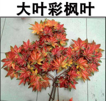 Maple Leaf Emulation Red Maple Leaf Green Maple Leaf Emulation Bark Restaurant Decorate Fake Tree Photography Background Props